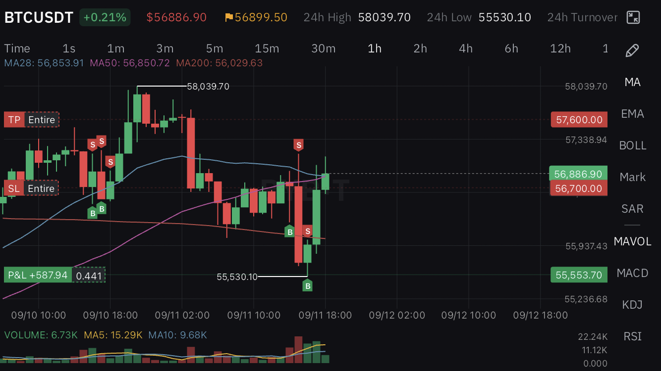 Trading wynik 5